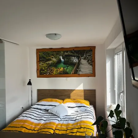 Zemva - Jt Apartma, Free Bikes, Big Garden With Terrace *