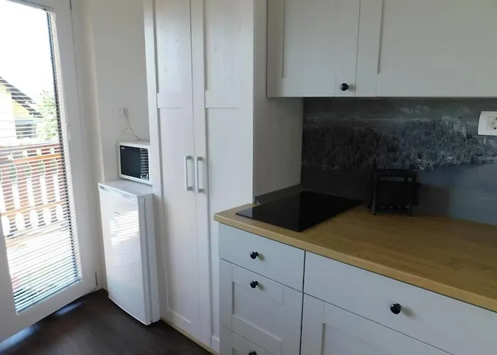 Zemva - Jt Apartma, Free Bikes, Big Garden With Terrace Apartment Bled