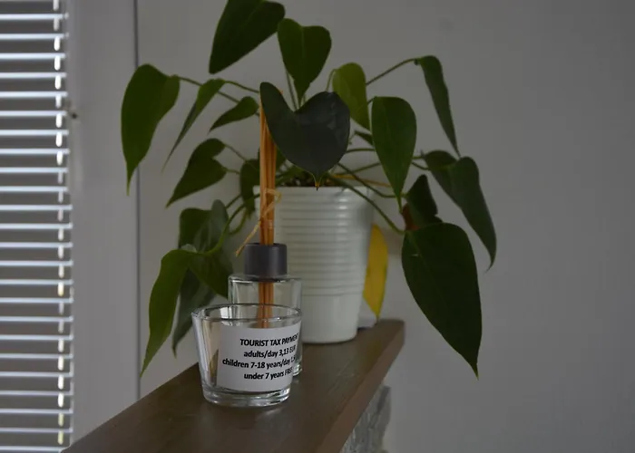 Zemva - Jt Apartma, Free Bikes, Big Garden With Terrace *