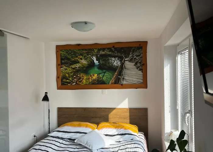 Zemva - Jt Apartma, Free Bikes, Big Garden With Terrace *