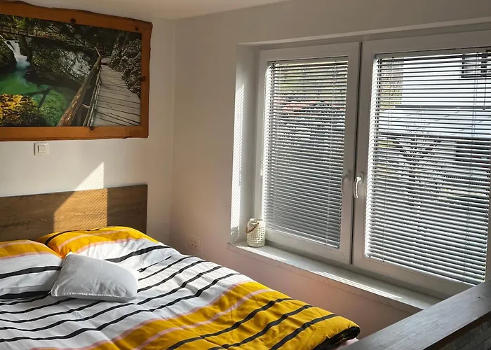 Apartment Zemva - Jt Apartma, Free Bikes, Big Garden With Terrace